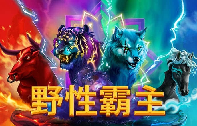 4303体育官网